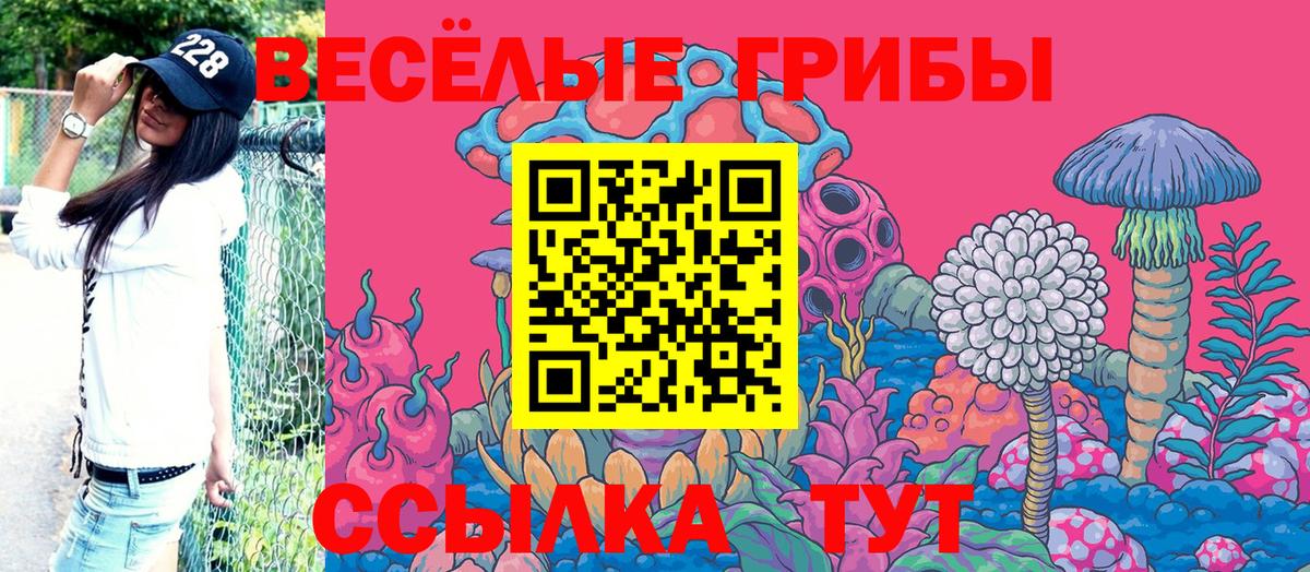 Псилоцибиновые грибы GOLDEN TEACHER Казань