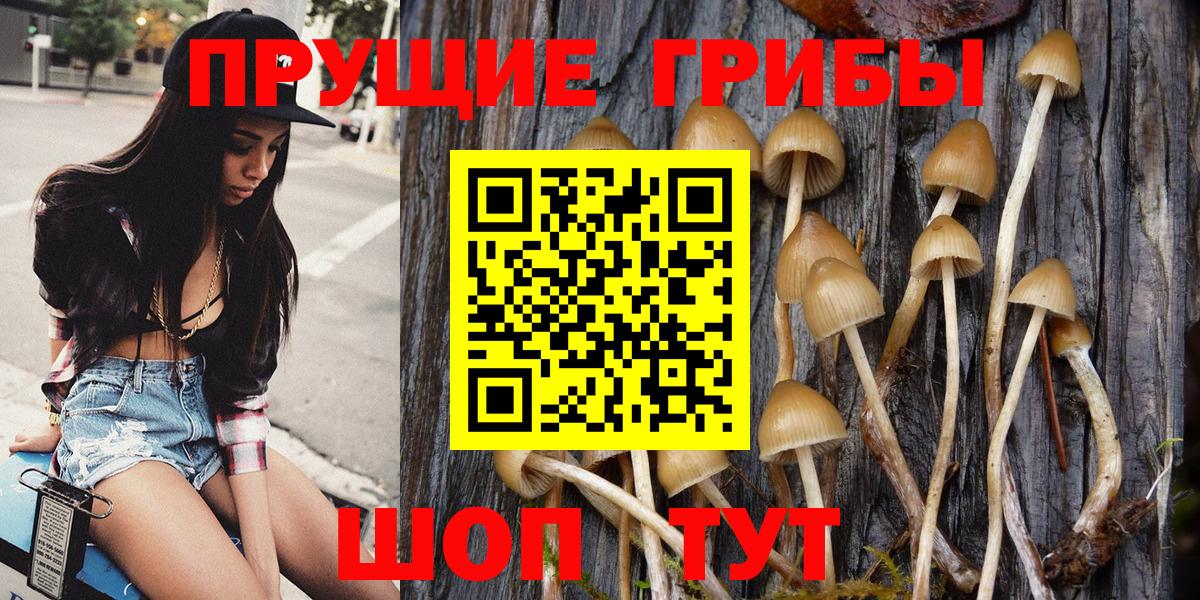 Казань  Псилоцибиновые грибы мицелий  Вход с VPN 